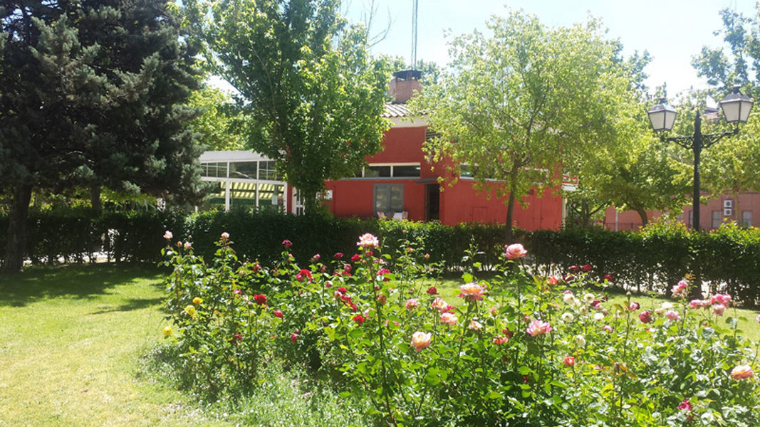 Rosas