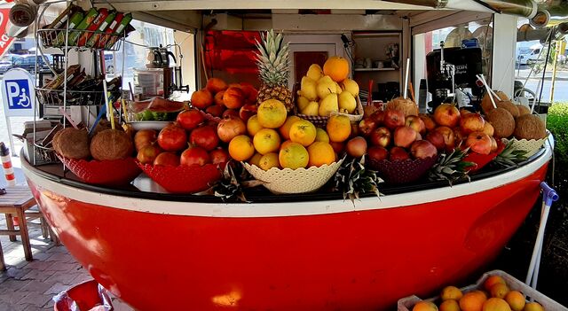 All naturall orange house