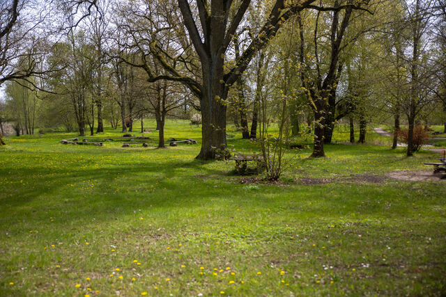 Foto by Lichtblicke Jula Welzk