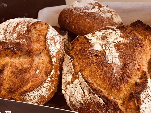 PAIN AU LEVAIN NATUREL MAISON, FARINE BIO GRAND EPEAUTRE 