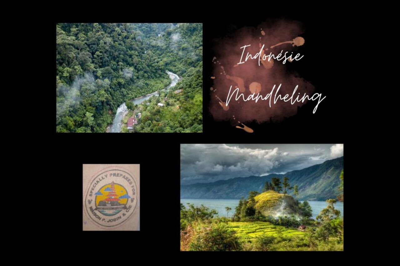 Retour de l'Indonésie Sumatra Mandheling