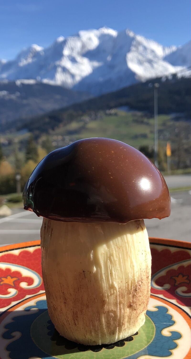 Trompe-l'œil Bolet(myrtille-noisettes-crème de marrons-praliné-chocolat blanc et noir) 5€/pièce 