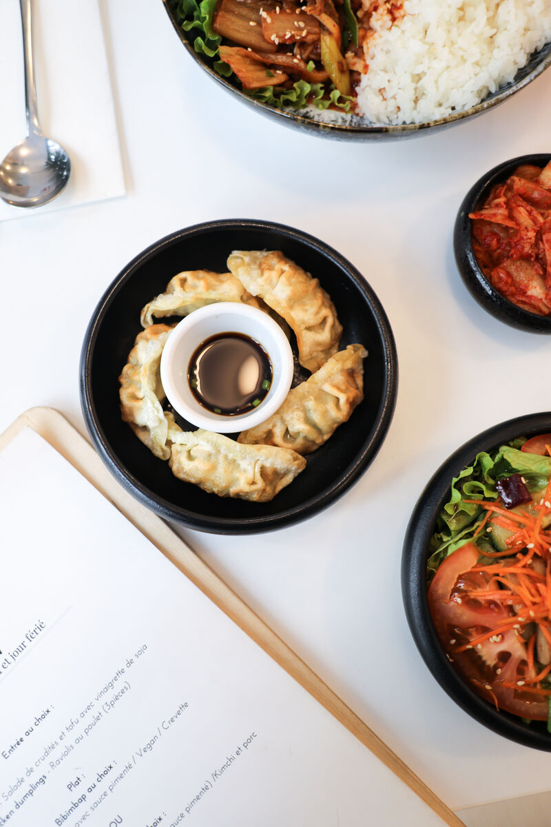 CHICKEN DUMPLINGS