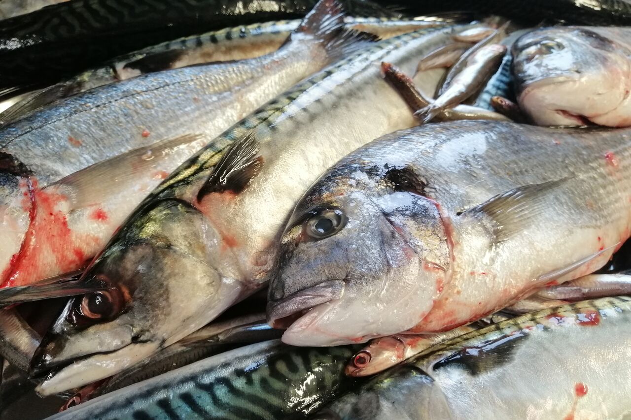 El Greco - Fischgerichte