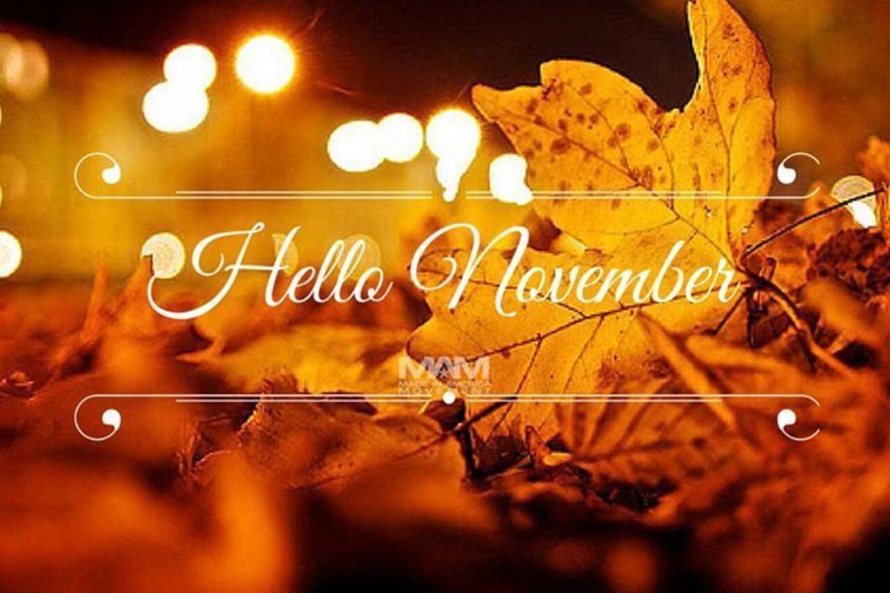 Hello November