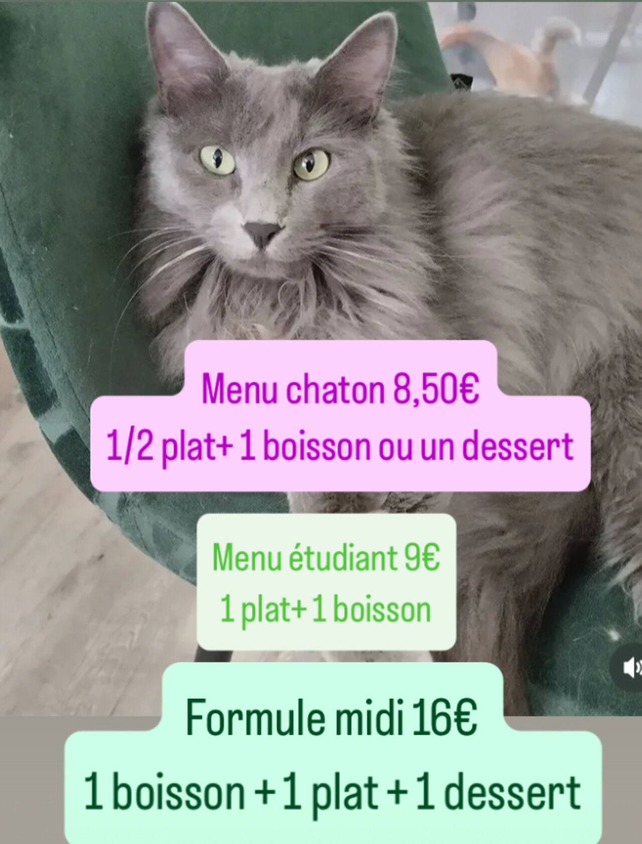Nos formules