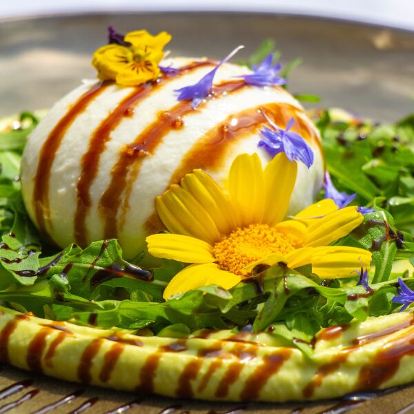 Burrata - Restaurant la perle vieux port marseille