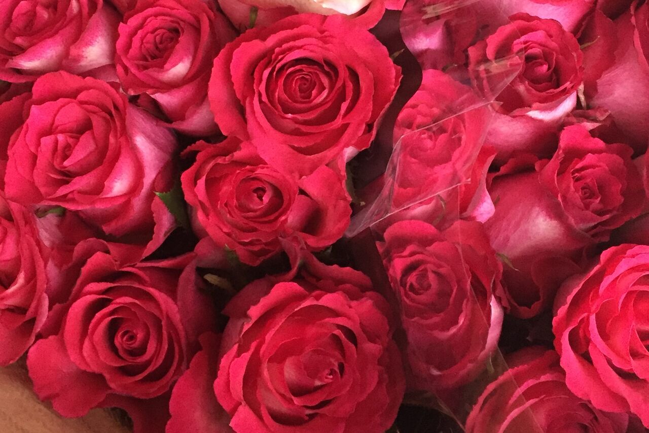 Valentinsabend im Brisgavi, 14. Februar 2020