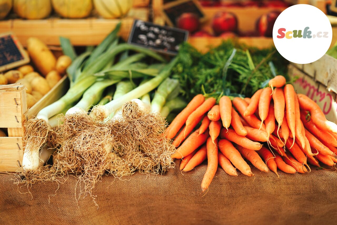 on-line nákupy SCUK.CZ