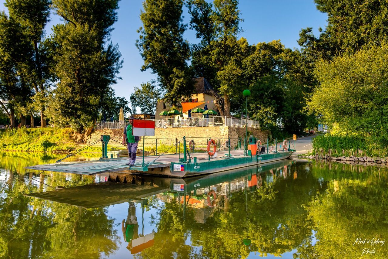 Une île au coeur d'Angers, les oiseaux qui chantent, les poissons qui frétillent et le rosé qui coule.