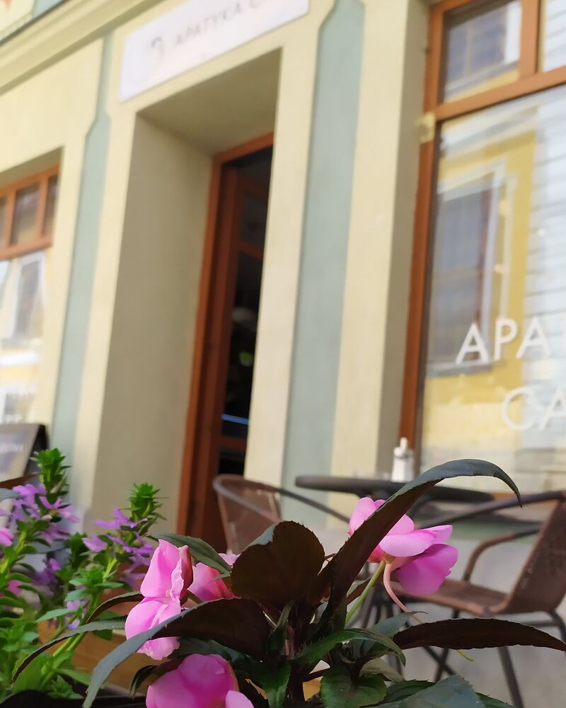 Ve stínu barokní apatyky