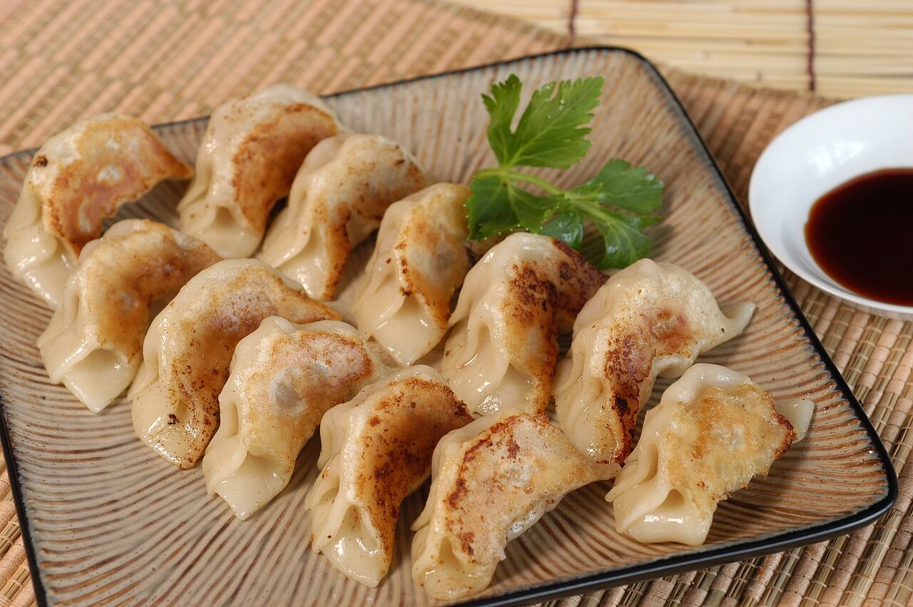 Unsere Gyoza...