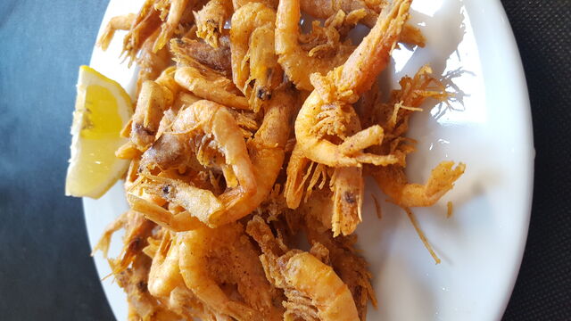 Gambusi o gambita frita