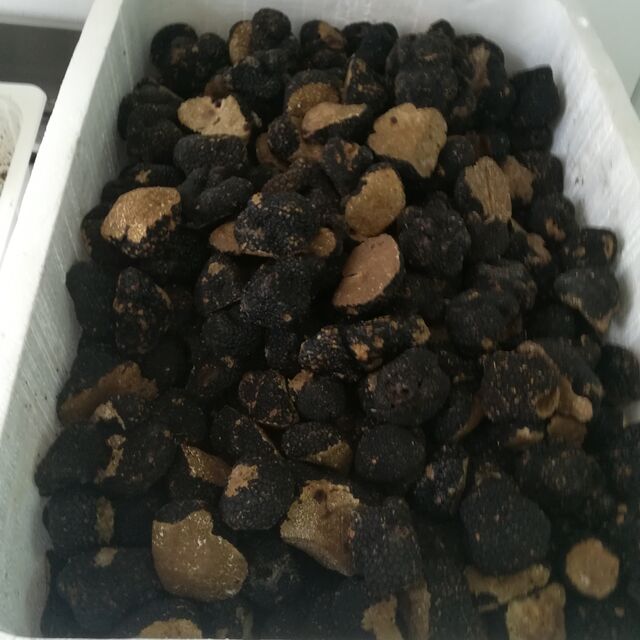 I nostri tartufi acquistati freschi