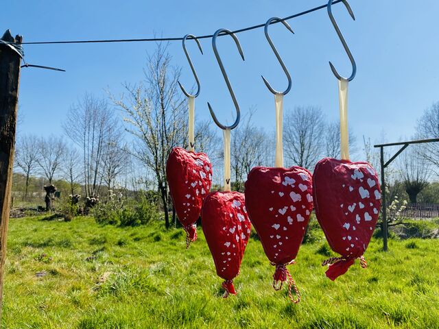 Droge worst in de vorm van een 'hartje'