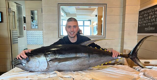 40 KG TONNO PINNA GIALLA 