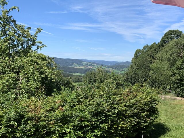Blick von der Terrasse / Balkon 