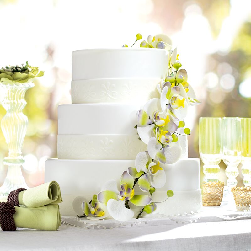 SCARLETT ORCHIDEES
Dès 4,21€ la part.
Choix chocolat, vanille, noix de coco, noisette ou fraise, fine couche pâte à sucre
