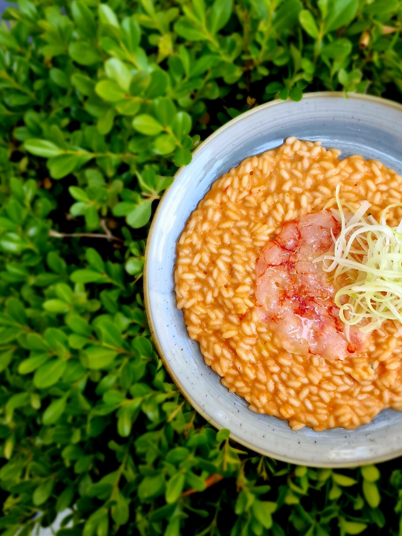 Per un matrimonio... risotto allo champagne e battuto di gamberi rossi