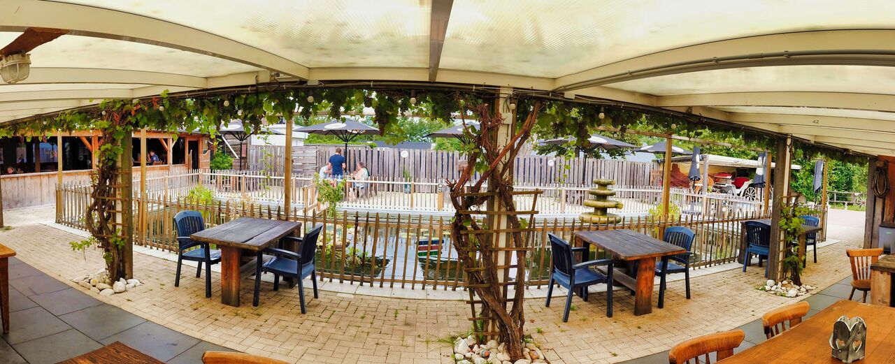 vanuit overdekt terras 