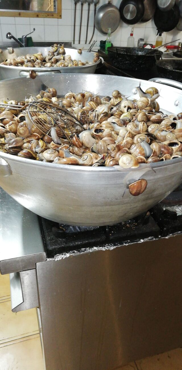 Els caragols ja són aquí