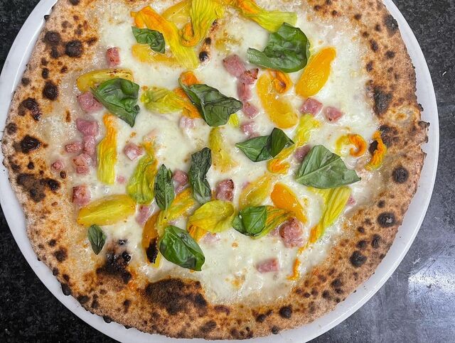 INTEGRALE MONY GIALLA