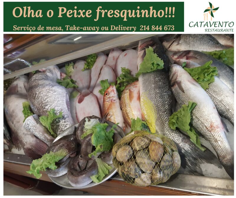 ????? fresquinho fresquinho ?????