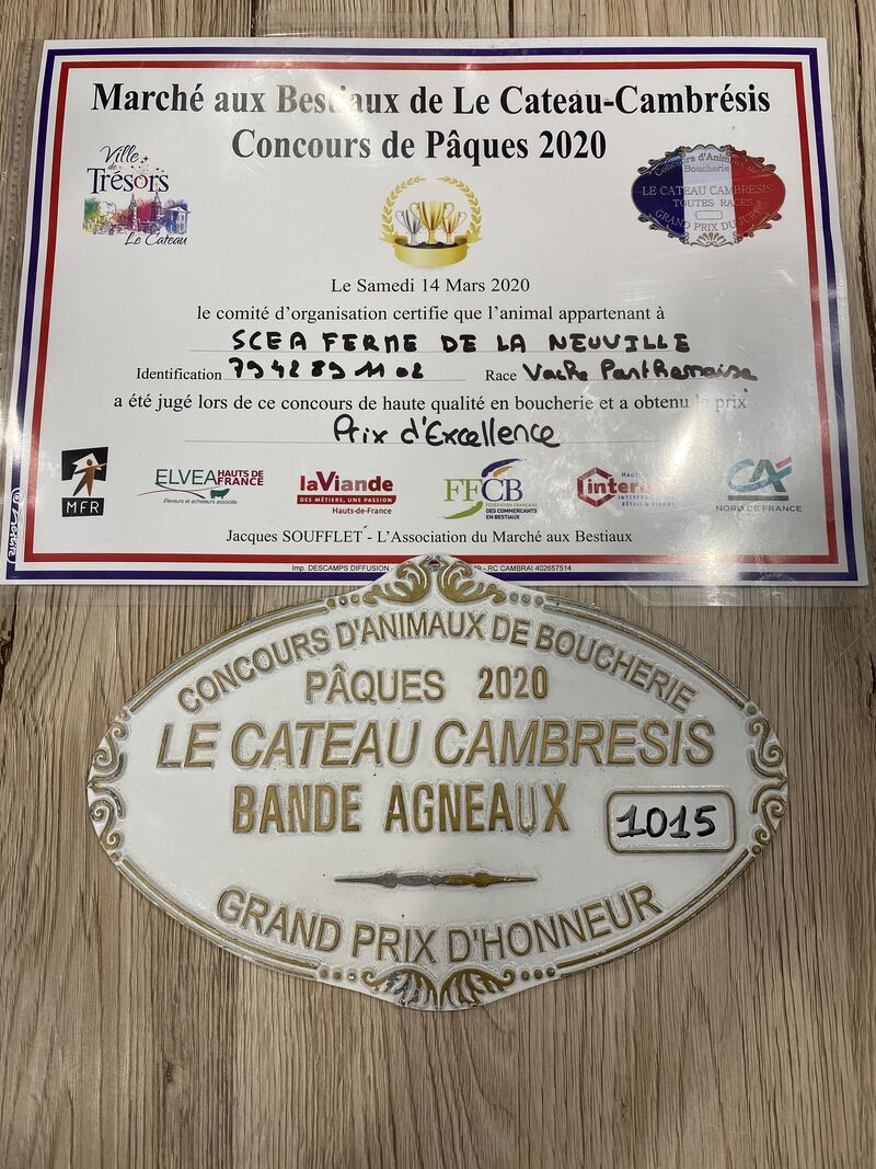 Différents prix et plaques de concours