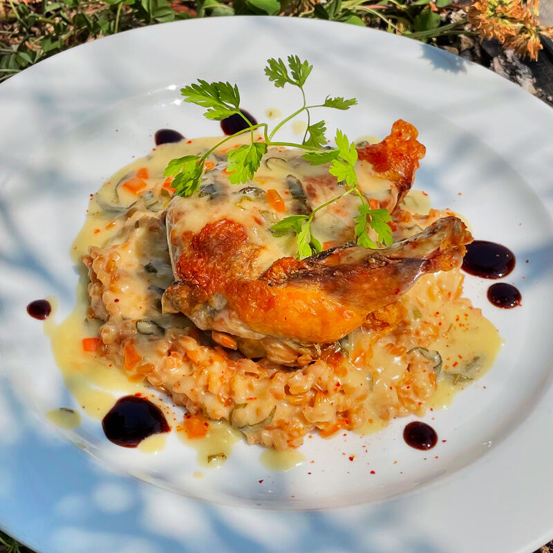 Supreme de pintade rotie, crème de sauge & risotto de petits épeautres