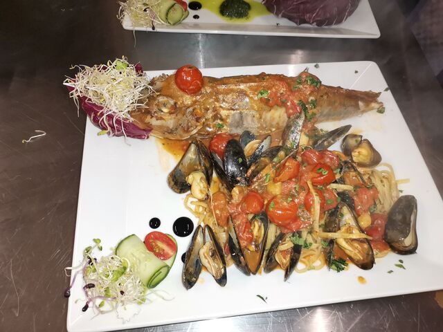 Gallinella di Mare
