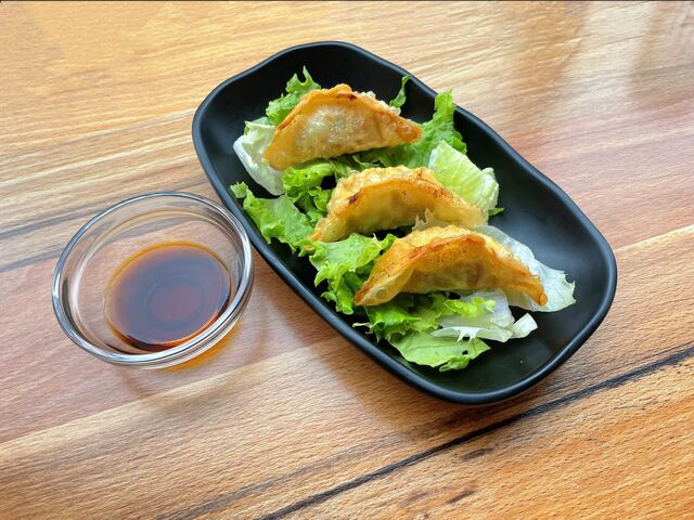 Gyoza Poulet & légumes OU Vegan