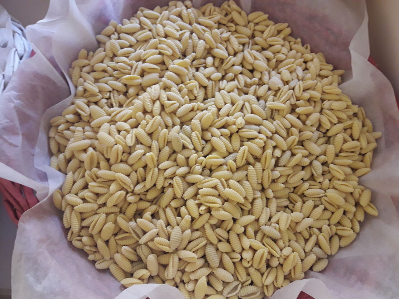 MALLOREDDUS/ZAFFERANO