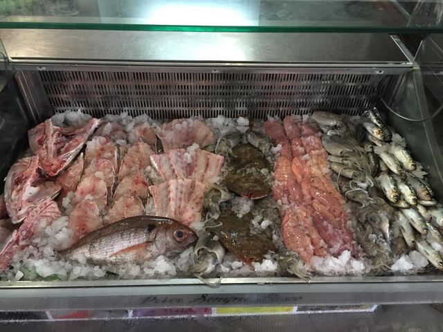 peixe sempre fresco