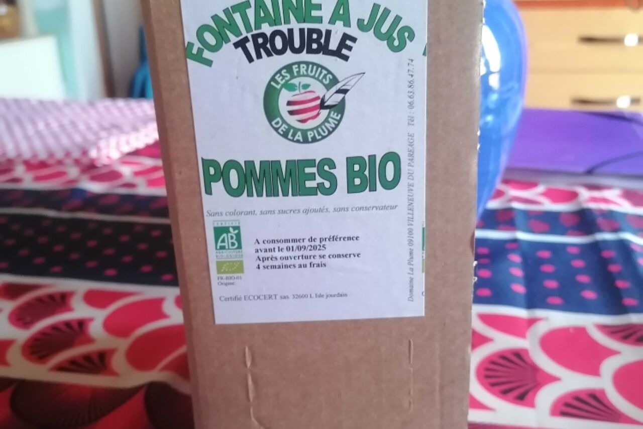 Fontaine a jus trouble Pomme Bio (3l)