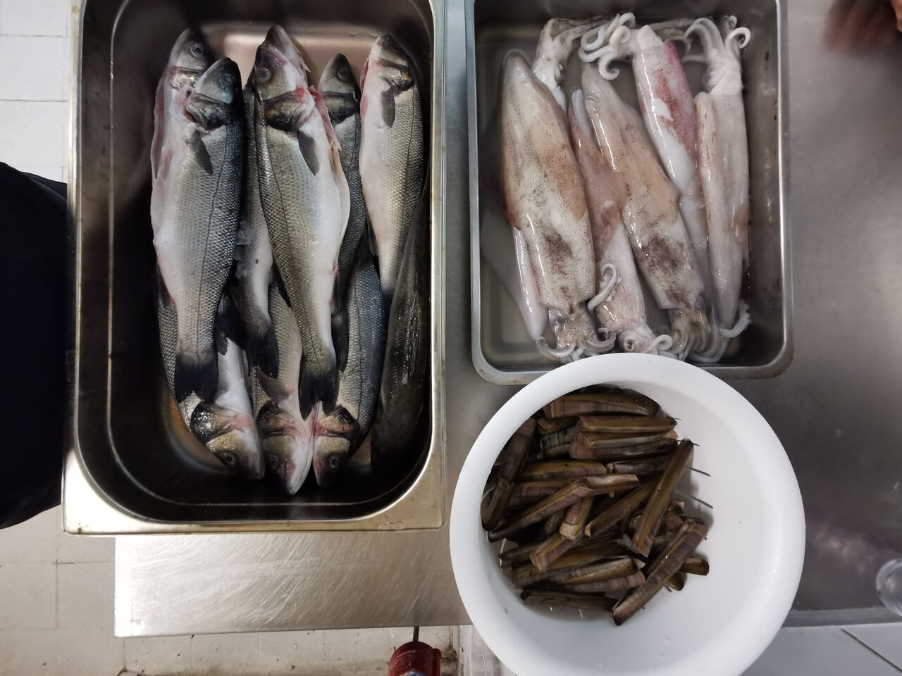 Spicola , Calamari , Cannocchie 