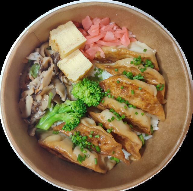 Bento gyoza poulet 