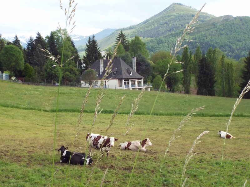 la demeure aux pins et son environnement