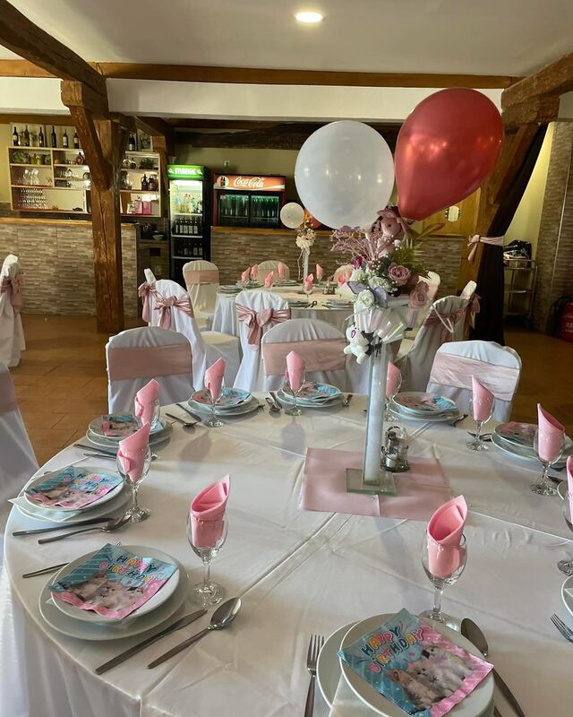 Retro sala - idealna za 80 - 120 ljudi