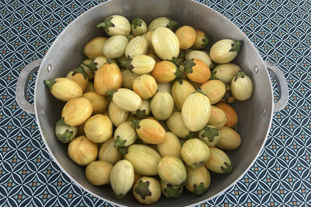 Un voyage culinaire tous les vendredis