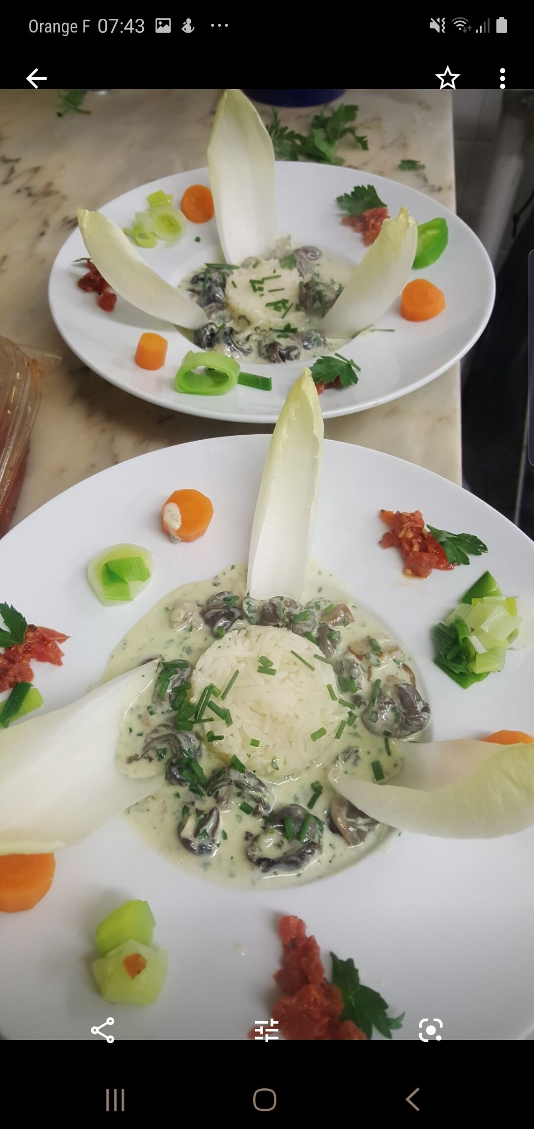 La cassolette d 'escargot de Bourgogne aux girolles ..crème persillade
9.50 euro p pers