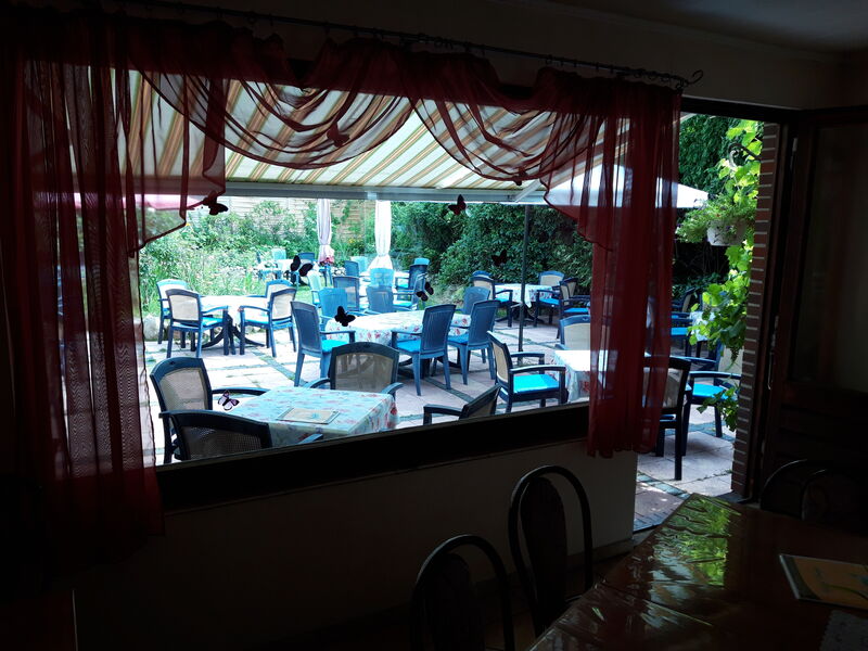 Innenraum 2 (Blick in den Garten)