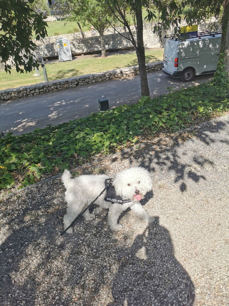 De paso en 4️⃣0️⃣tena