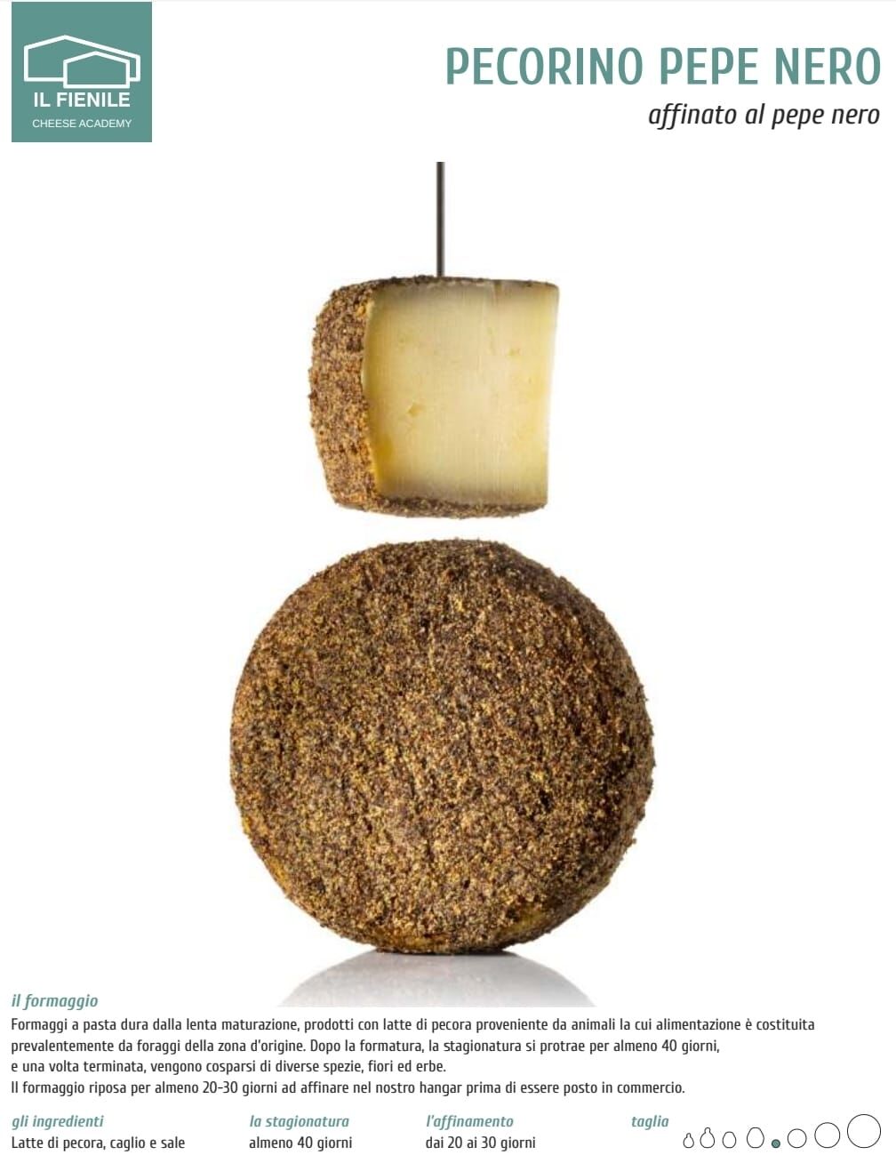 Pecorino al Pepe Nero