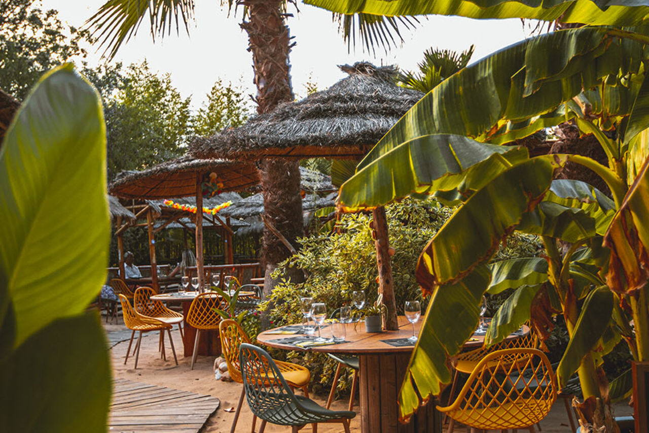 Le Restaurant - Bar - Tapas