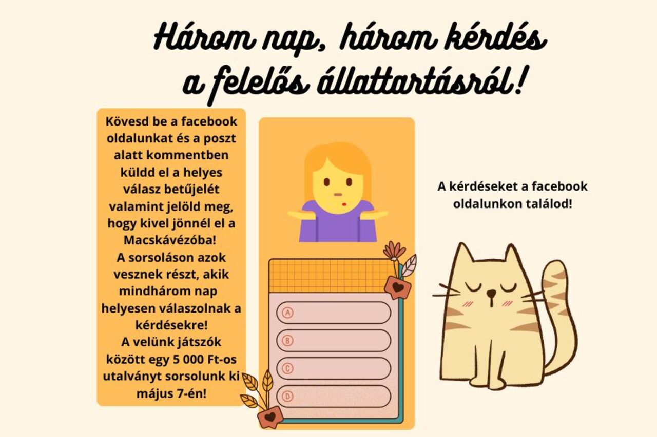 Nyereményjáték a Felelős Állattartás Napja alkalmából!