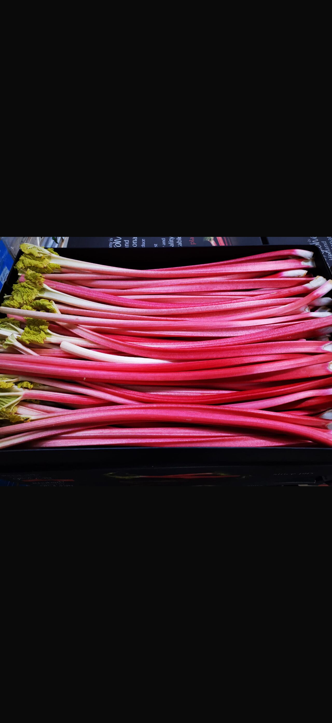 Rhabarber Pfannkuchen