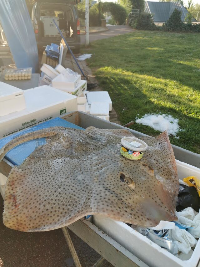 La Poissonnerie Lyonnaise Sainte Consorce French cuisine near me