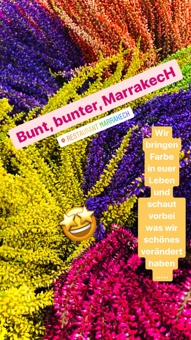 Wir bringen Farbe in den Alltag !
??
Bunt, bunter, MarrakecH !
??
Schaut bei uns vorbei ........... ?
❤️?
#colouroflife