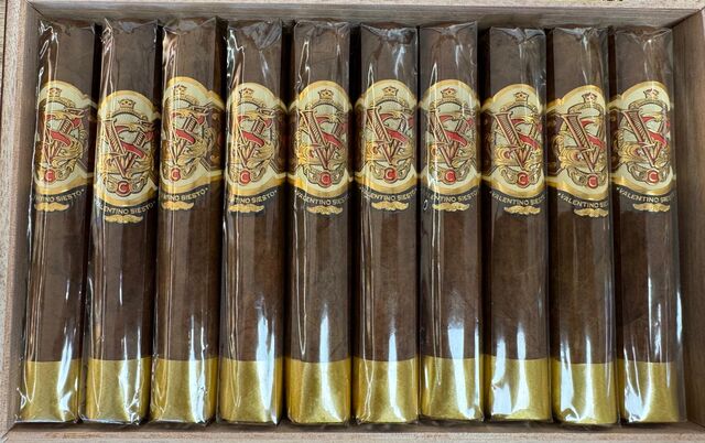 Valentino Sun Ground