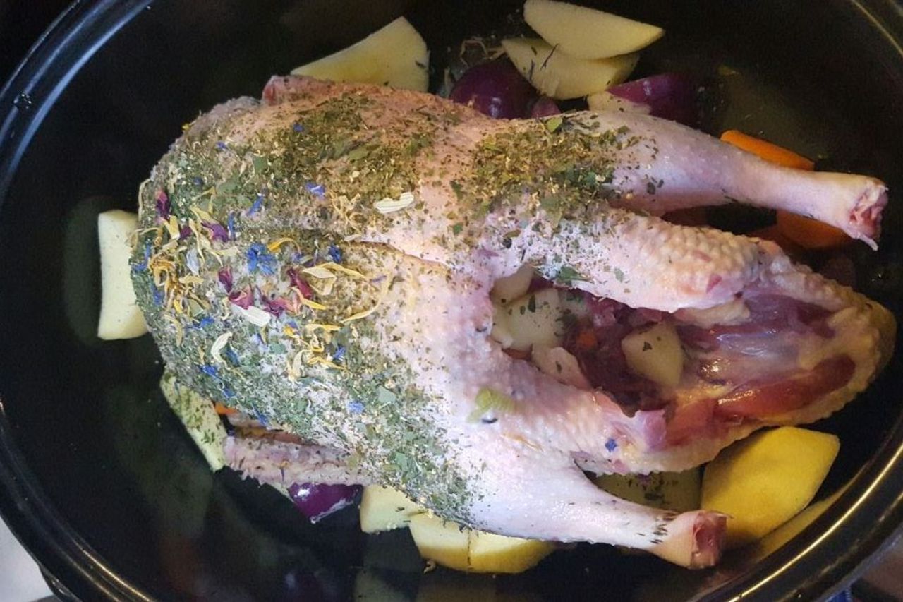 Geflügelzucht | Geflügelchaos Annerod | Fernwald